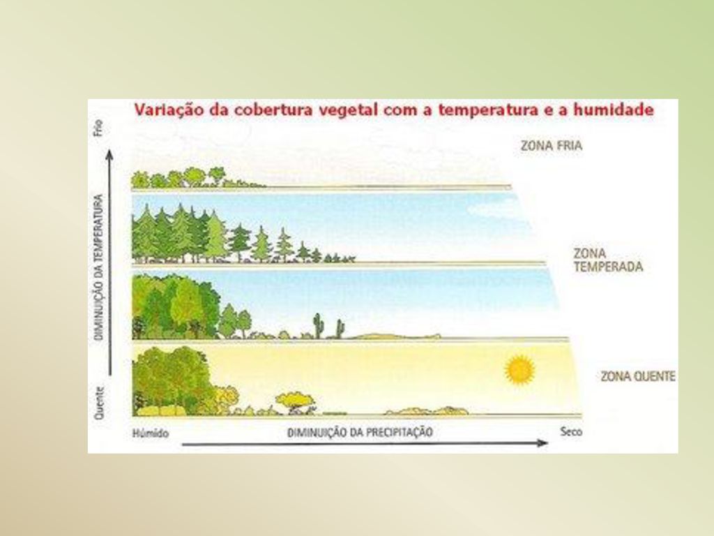 Formações Vegetais Desenvolvem-se de acordo com o tipo de CLIMA, RELEVO, E  SOLO do local onde se situam. De todos estes, o clima é o que mais se  destaca. - ppt carregar