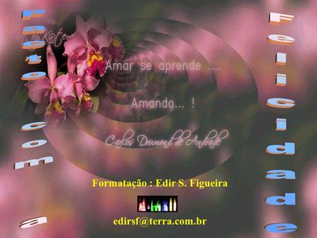 Formatação : Edir S. Figueira