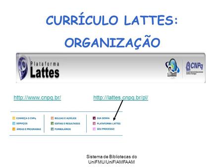Sistema de Bibliotecas do UniFMU/UniFIAMFAAM   CURRÍCULO LATTES: ORGANIZAÇÃO.
