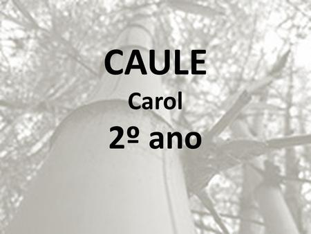 CAULE Carol 2º ano.