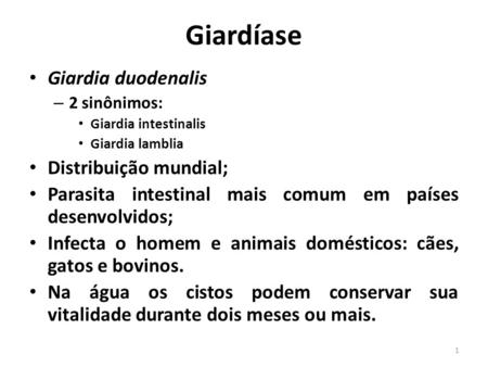 Giardíase Giardia duodenalis Distribuição mundial;