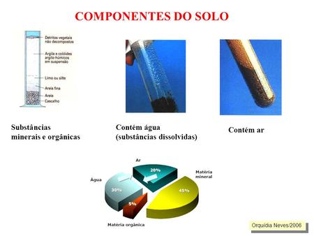 COMPONENTES DO SOLO Substâncias minerais e orgânicas