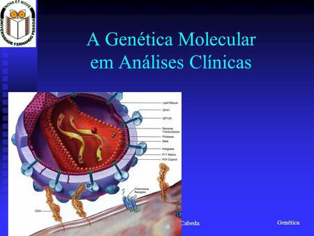 A Genética Molecular em Análises Clínicas