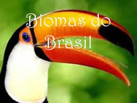 Biomas do Brasil.