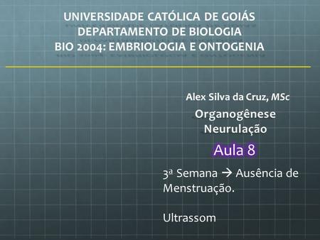 UNIVERSIDADE CATÓLICA DE GOIÁS DEPARTAMENTO DE BIOLOGIA BIO 2004: EMBRIOLOGIA E ONTOGENIA Alex Silva da Cruz, MSc 3 a Semana  Ausência de Menstruação.