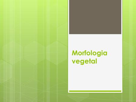 Morfologia vegetal.