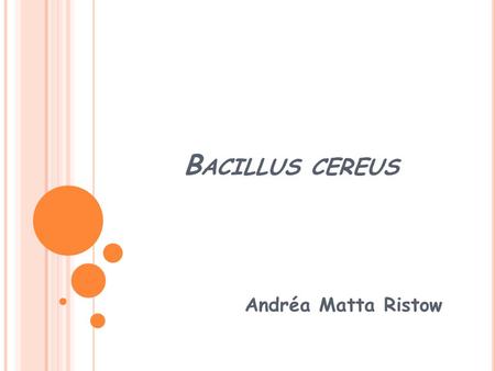 B ACILLUS CEREUS Andréa Matta Ristow. CARACTERÍSTICAS  Bacilos Gram positivos grandes  Formadores de esporos, móveis  Aeróbios, mesófilos  Causa gastrenterites.