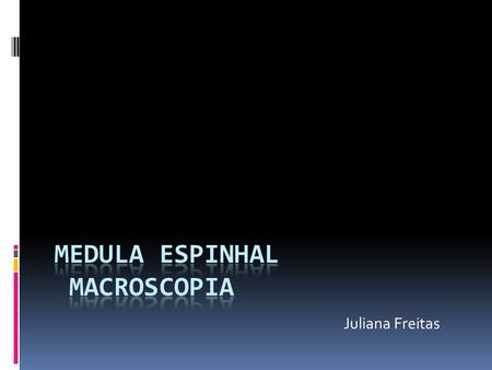 Medula Espinhal Macroscopia