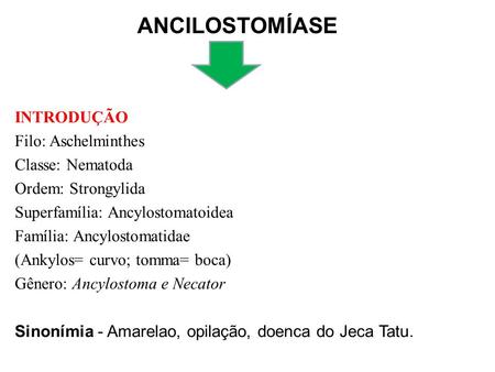 ANCILOSTOMÍASE INTRODUÇÃO Filo: Aschelminthes Classe: Nematoda