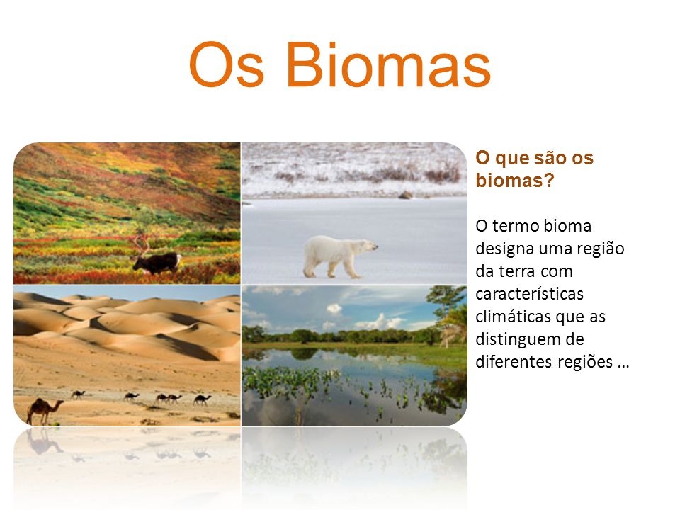 O Que São Biomas A