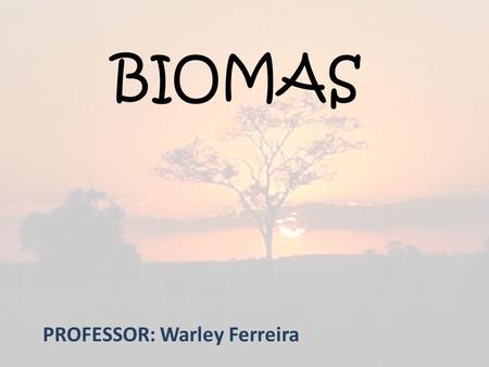 PROFESSOR: Warley Ferreira