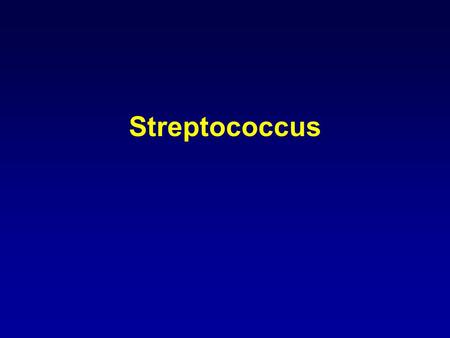Streptococcus.