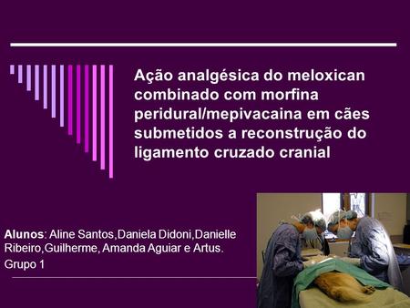 Ação analgésica do meloxican combinado com morfina peridural/mepivacaina em cães submetidos a reconstrução do ligamento cruzado cranial Alunos: Aline Santos,Daniela.