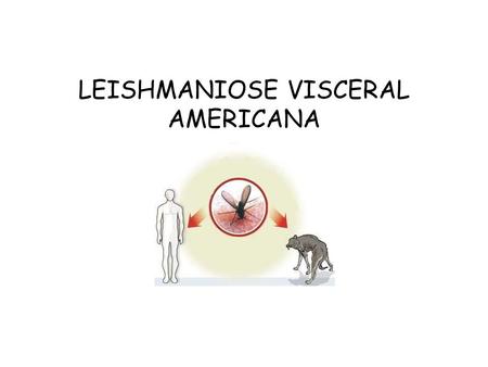 LEISHMANIOSE VISCERAL AMERICANA