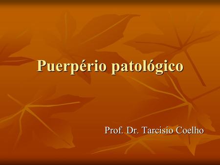 Prof. Dr. Tarcisio Coelho