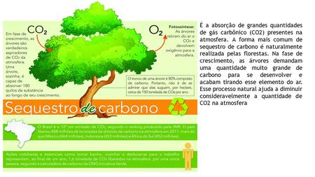 É a absorção de grandes quantidades de gás carbônico (CO2) presentes na atmosfera. A forma mais comum de sequestro de carbono é naturalmente realizada.