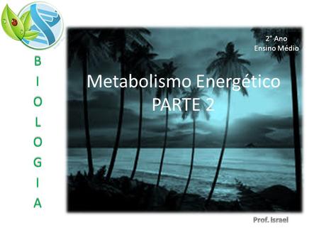 Metabolismo Energético PARTE 2