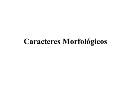 Caracteres Morfológicos