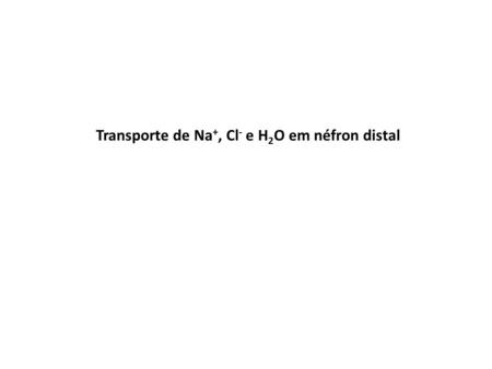 Transporte de Na+, Cl- e H2O em néfron distal