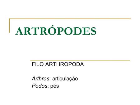 FILO ARTHROPODA Arthros: articulação Podos: pés