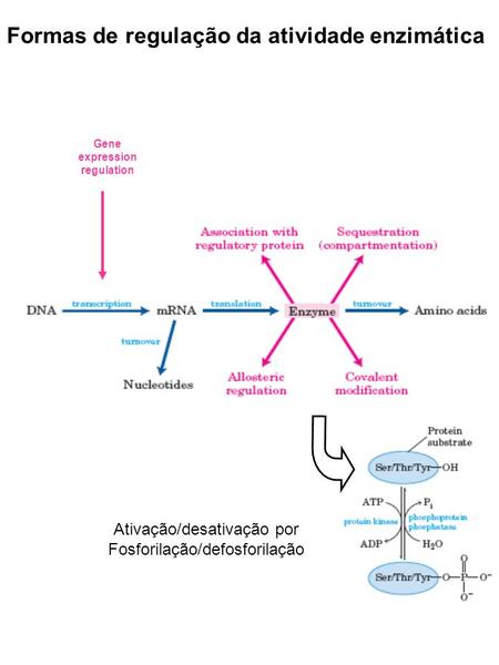 Gene expression regulation