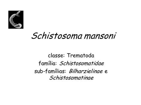 Schistosoma mansoni classe: Trematoda família: Schistosomatidae