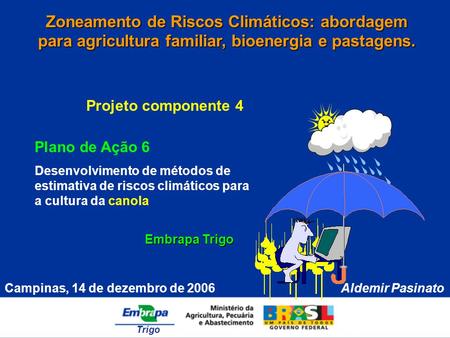 Trigo Aldemir PasinatoCampinas, 14 de dezembro de 2006 Zoneamento de Riscos Climáticos: abordagem para agricultura familiar, bioenergia e pastagens. Embrapa.