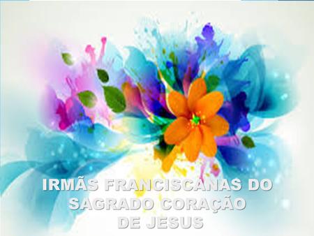 IRMÃS FRANCISCANAS DO SAGRADO CORAÇÃO DE JESUS