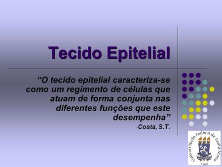Tecido Epitelial “O tecido epitelial caracteriza-se como um regimento de células que atuam de forma conjunta nas diferentes funções que este desempenha”