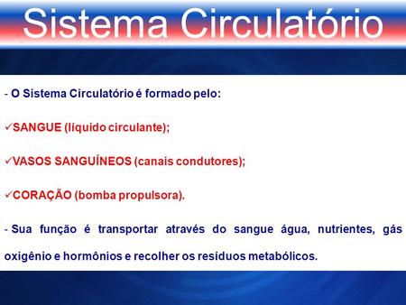 Sistema Circulatório O Sistema Circulatório é formado pelo:
