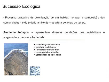 Sucessão Ecológica Processo gradativo de colonização de um habitat, no qual a composição das comunidades - e do próprio ambiente – se altera ao longo do.
