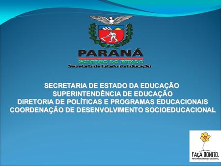 SECRETARIA DE ESTADO DA EDUCAÇÃO SUPERINTENDÊNCIA DE EDUCAÇÃO DIRETORIA DE POLÍTICAS E PROGRAMAS EDUCACIONAIS COORDENAÇÃO DE DESENVOLVIMENTO SOCIOEDUCACIONAL.