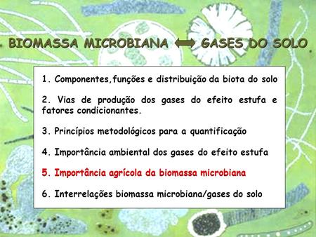 BIOMASSA MICROBIANA GASES DO SOLO