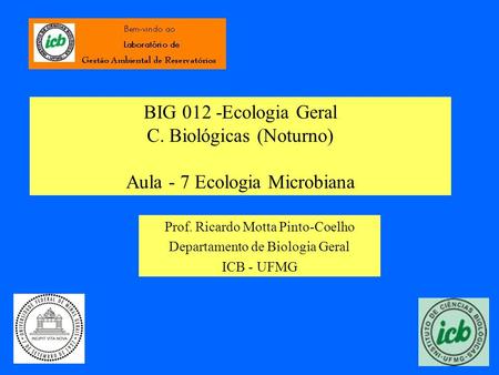 BIG 012 -Ecologia Geral C. Biológicas (Noturno) Aula - 7 Ecologia Microbiana Prof. Ricardo Motta Pinto-Coelho Departamento de Biologia Geral ICB - UFMG.