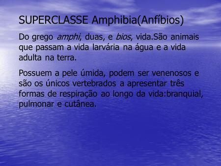 SUPERCLASSE Amphibia(Anfíbios)