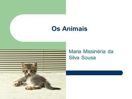 Maria Missinéria da Silva Sousa
