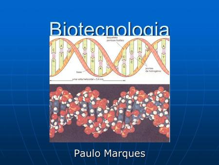 Biotecnologia Paulo Marques.