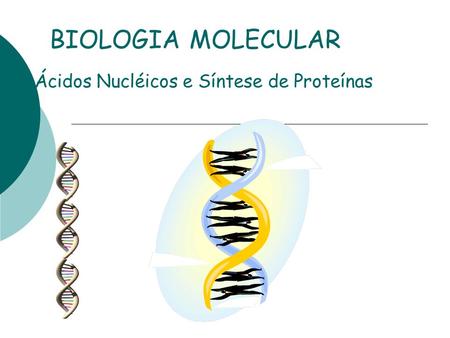 Ácidos Nucléicos e Síntese de Proteínas