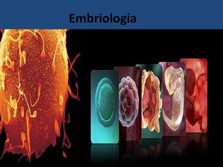 Embriologia.