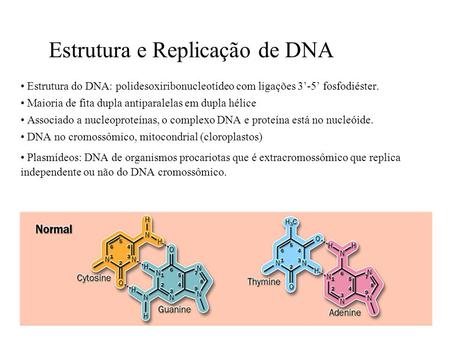 Estrutura e Replicação de DNA
