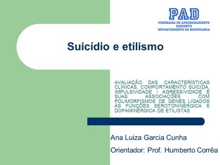 Suicídio e etilismo Ana Luiza Garcia Cunha