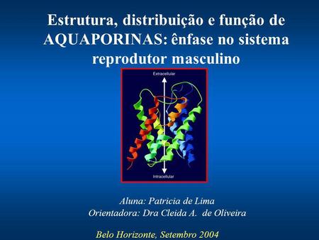 Aluna: Patricia de Lima Orientadora: Dra Cleida A.  de Oliveira
