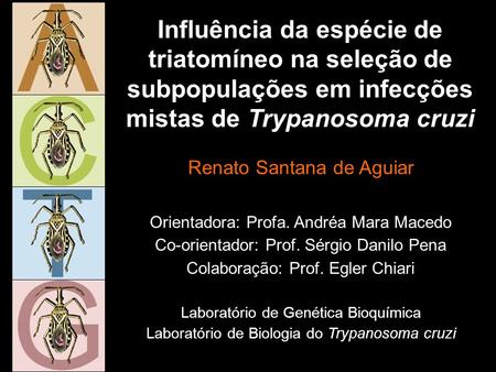 Influência da espécie de triatomíneo na seleção de subpopulações em infecções mistas de Trypanosoma cruzi Renato Santana de Aguiar Orientadora: Profa.