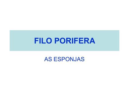 FILO PORIFERA AS ESPONJAS.