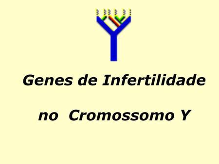 Genes de Infertilidade no Cromossomo Y. A infertilidade afeta aproximadamente 10% dos casais e estima-se que esta taxa está aumentando.
