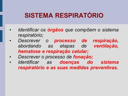 SISTEMA RESPIRATÓRIO Identificar os órgãos que compõem o sistema respiratório; Descrever o processo de respiração, abordando as etapas de ventilação, hematose.