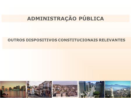 ADMINISTRAÇÃO PÚBLICA OUTROS DISPOSITIVOS CONSTITUCIONAIS RELEVANTES