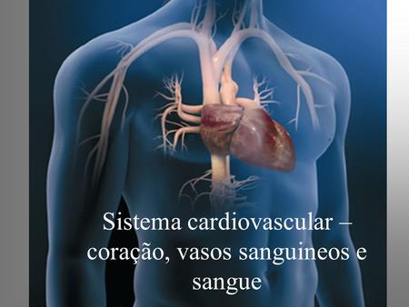 Sistema cardiovascular – coração, vasos sanguineos e sangue