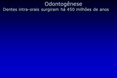 Odontogênese Dentes intra-orais surgiram há 450 milhões de anos.