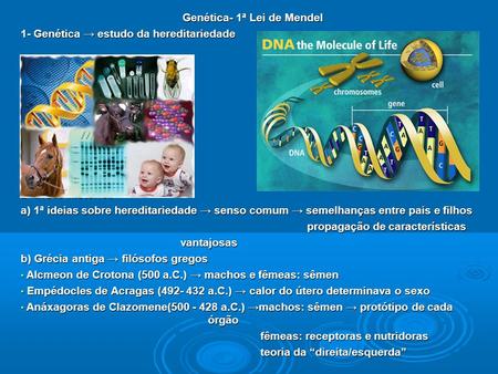 Genética- 1ª Lei de Mendel 1- Genética estudo da hereditariedade 2- Breve histórico a) 1ª ideias sobre hereditariedade senso comum semelhanças entre pais.